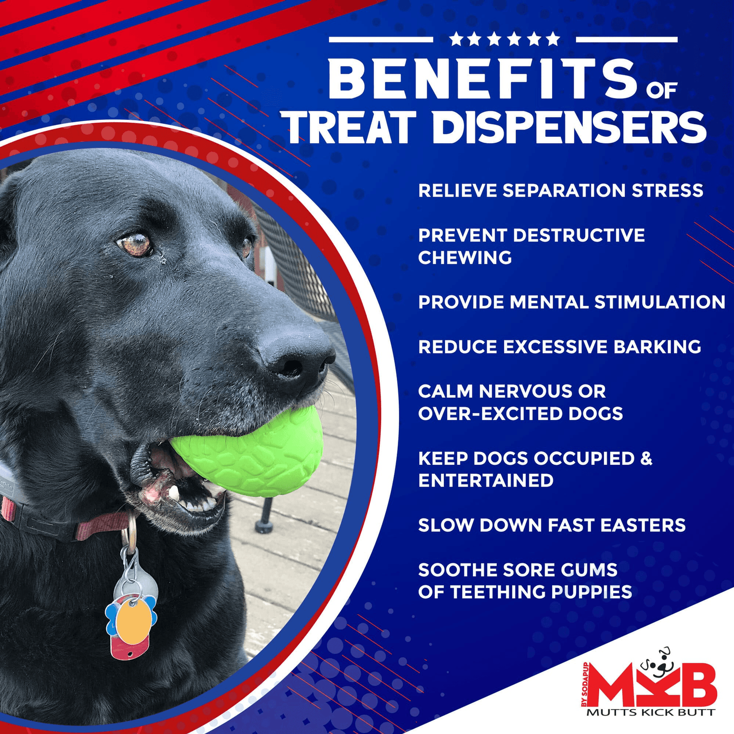 MKB Durable Chew Toy & Treat Dispenser - Dinosaur Egg for Power Chewers-4